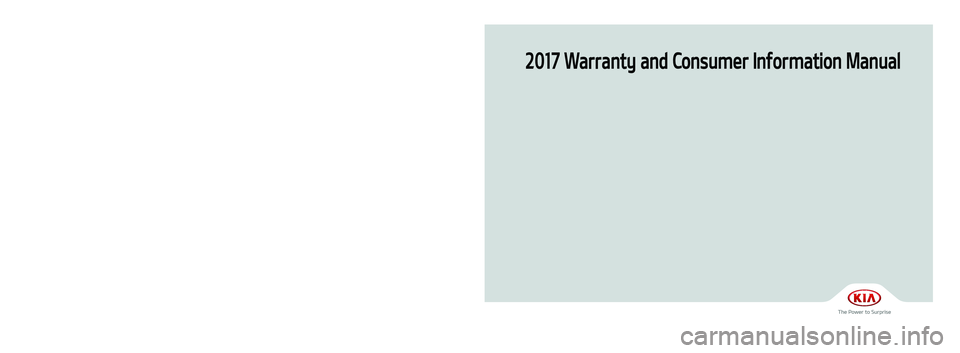 KIA CADENZA 2017  Warranty and Consumer Information Guide 