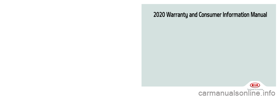 KIA RIO 2020  Warranty and Consumer Information Guide 