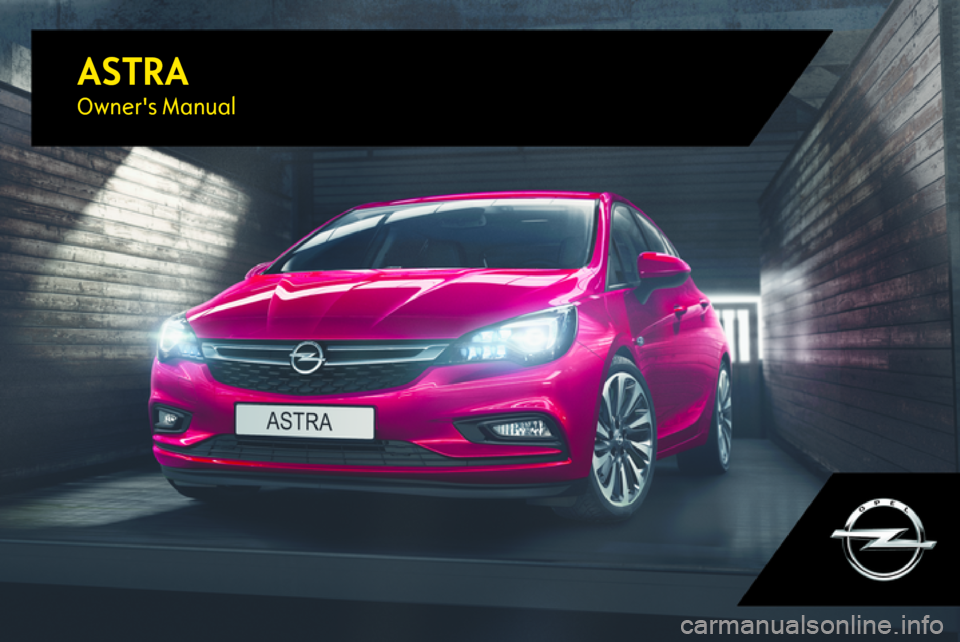 OPEL ASTRA K 2017 Owner's Guide (305 Pages)