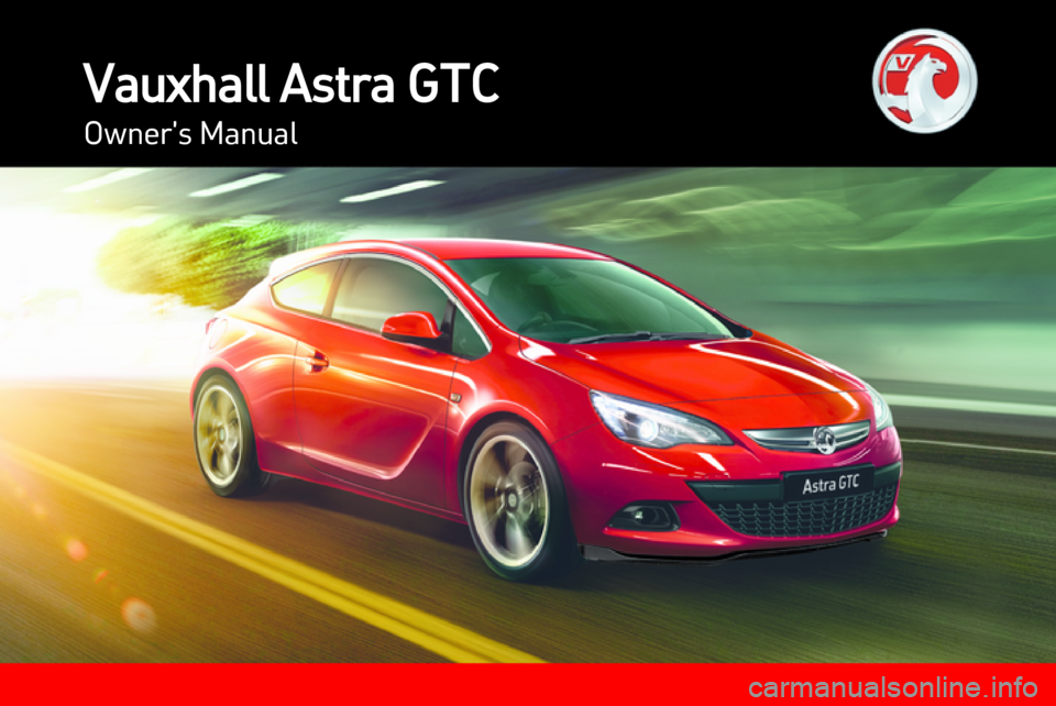 VAUXHALL ASTRA J GTC 2012.5  Owners Manual 