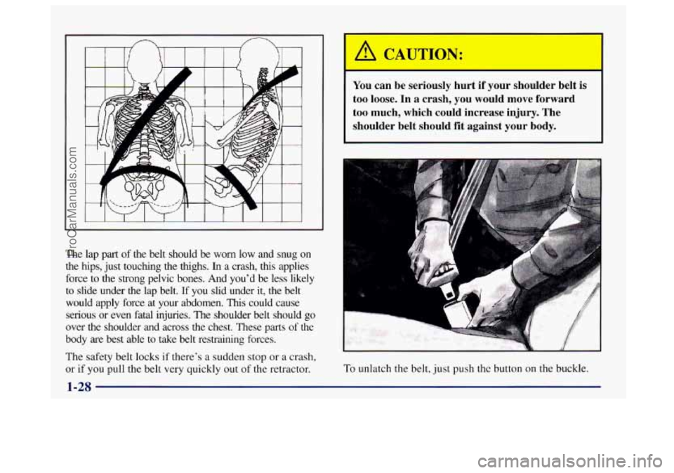 BUICK CENTURY 1997  Owners Manual The lap part of the  belt  should  be  worn  low  and  snug  on 
the  hips,  just touching  the  thighs. 
In a  crash,  this  applies 
force  to  the  strong  pelvic  bones.  And  you’d  be  less  l