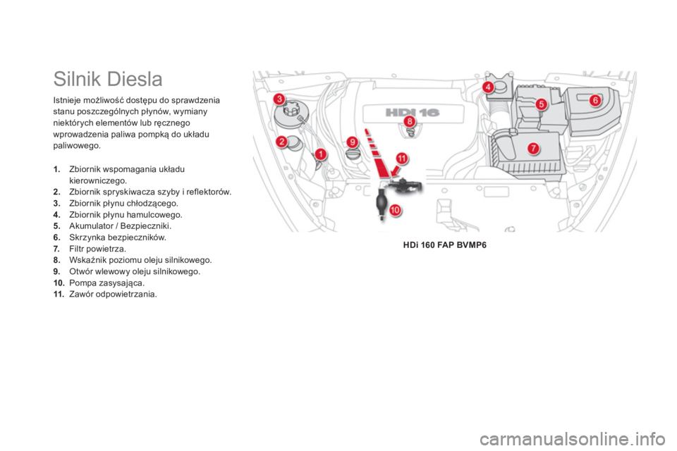 CITROEN DS5 HYBRID 2012  Instrukcja obsługi (in Polish) Istnieje możliwość dostępu do sprawdzenia
stanu poszczególnych płynów, wymiany niektórych elementów lub ręcznego
wprowadzenia paliwa pompką do układu
paliwowego.
 
 
 
 
 
 
 
 
 
 
 
Siln